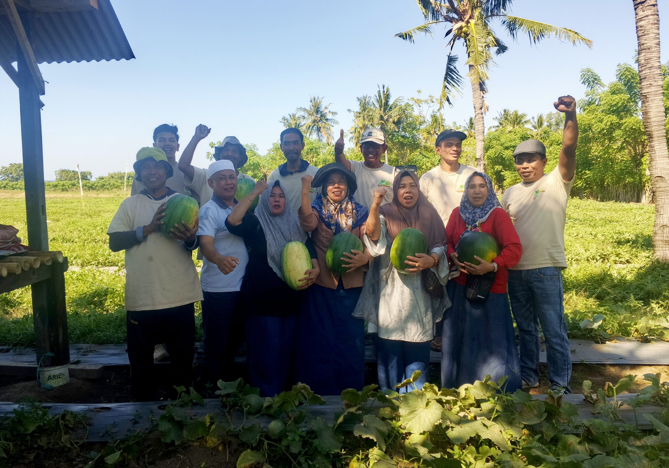 Zefanya Kurniawan Ubah Lahan Panas Obel-Obel Jadi Ladang Emas, Panen Perdana Tembus 45 Ton Semangka